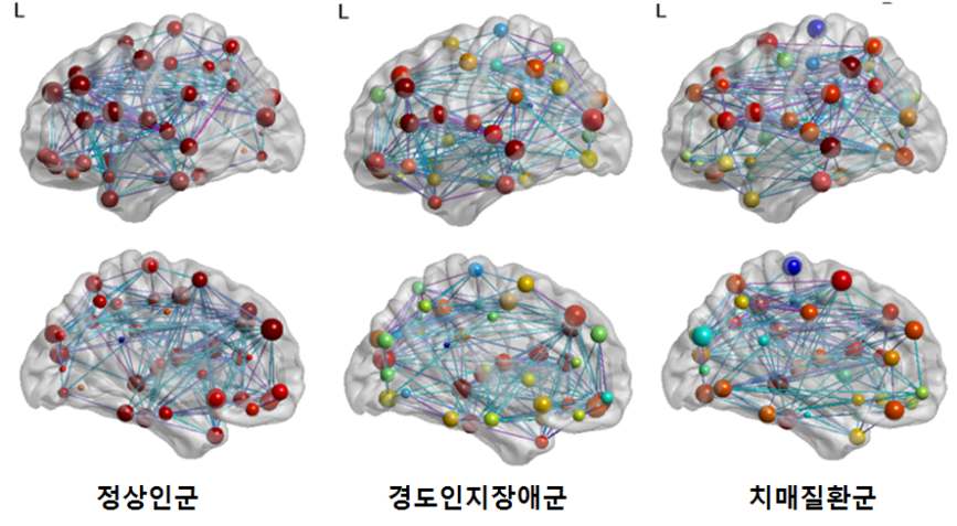 그림 7 정상인군과 각 질병군 별 네트워크 특성