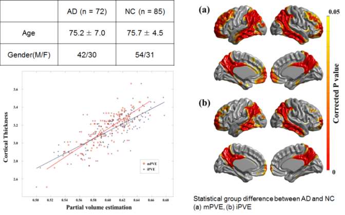 그림 16 부분용적보정을 고려한 대뇌피질모델기반의 PET 집적 값 맵핑