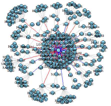 비장 내 발현 증감이 큰 100개 유전자의 네트워크 결과