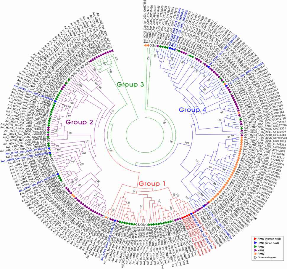 Phylogenetic tree of 7 HA gene