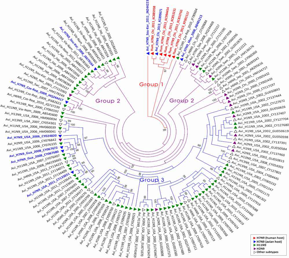 Phylogenetic tree of 9 NA gene