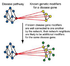 트워크 기반의 genetic modifiers 예측