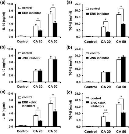 ERK 신호 의존적인 항염증성 사이토카인 IL-10과 TGF-beta의 생성