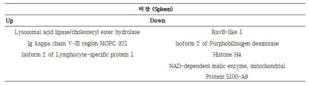 간흡충 감염에 의해 나타나는 C57BL/6 & CBA/N 마우스의 공통적인 비장 내 단백질 발현 패턴