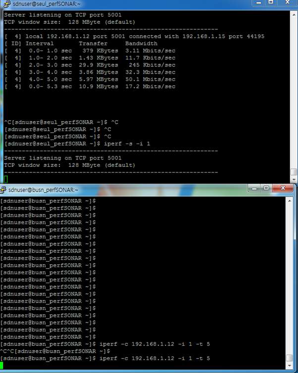 IP 네트워크 주소 기반 슬라이스 구성 후 5001번 목적지 포트를 이용한 Iperf 테스트 결과