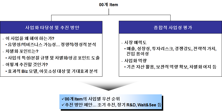 사업화 타당성 검토를 통한 최종 Item 우선순위 도출