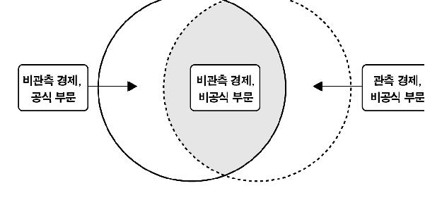 비관측 경제와 비공식 부문