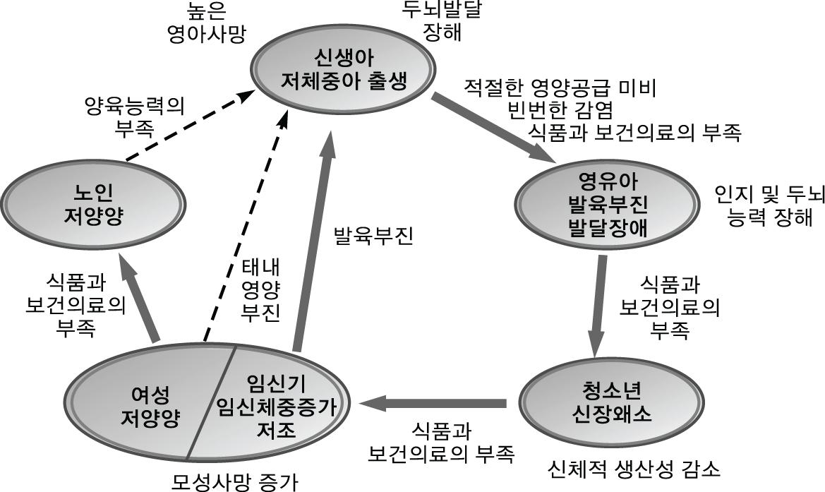 모성의 영양불량이 미치는 영향