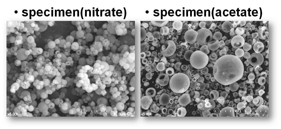 분말 합성 시 출발 칼슘염을 달리하여 합성한 분말의 주사전자 현미경 사진.