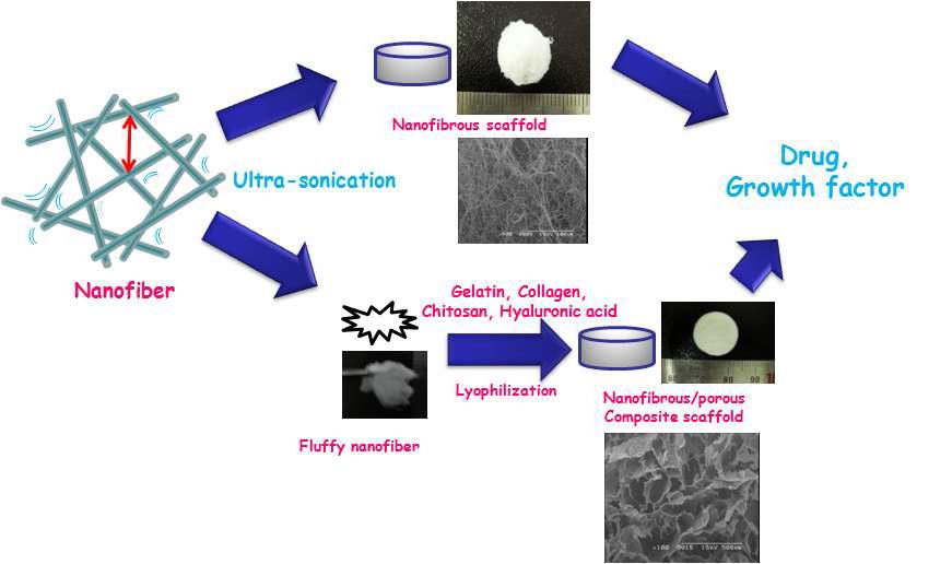3차원 나노섬유 지지체와 micro-pore를 가지는 3차원 나노섬유/다공성 복합 지지체의 제작 모식도