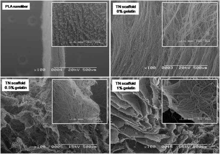Gelatin의 농도에 따른 PLA/gelatin 나노섬유/micro-porous 복합 지지체의 단면의 SEM 이미지
