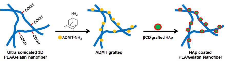 나노섬유 표면에 Adamantane 도입을 통해 HAp-βCD의 코팅