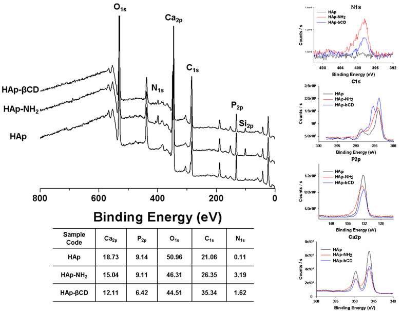 XPS룰 이용한 APTES와 βCD를 이용하여 개질한 HAp의 표면성분 분석