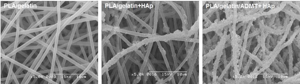 HAp가 coating된 PLGA/gelatin 나노섬유의 SEM 이미지