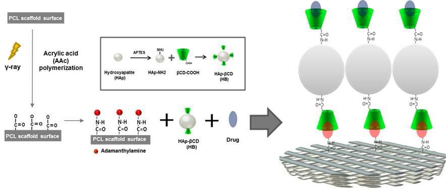 PCL 지지체 표면에 Adamantane 도입을 통해 HAp-βCD의 코팅