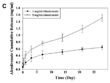 Alendronate의 방출거동 평가