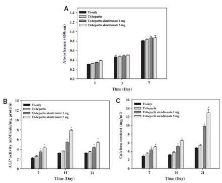 Ti-heparin alendronate의 세포 성장과 ALP, 골 mineralization 평가