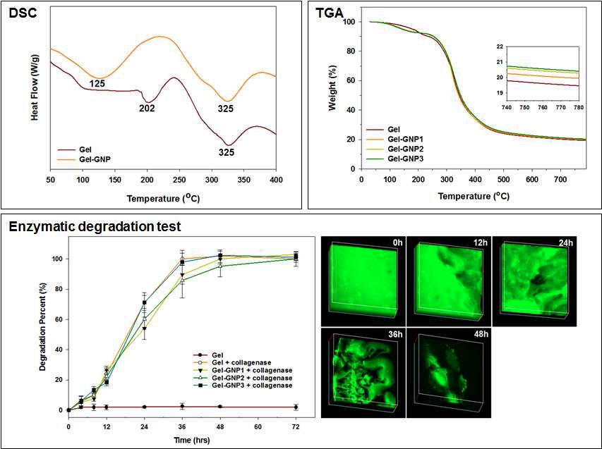 DSC, TGA, degradation을 통한 GelMA-GNP분석