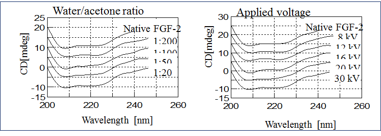 재생유도체로부터 용출된 bFGF의 생리 활성 평가를 위한 CD spectroscopy 분석