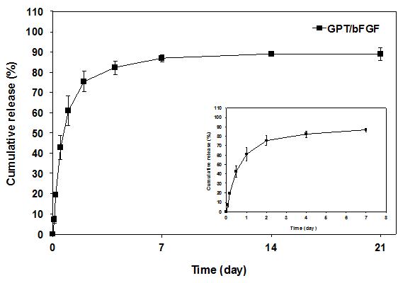 GPT 하이드젤에서의 bFGF 방출 거동