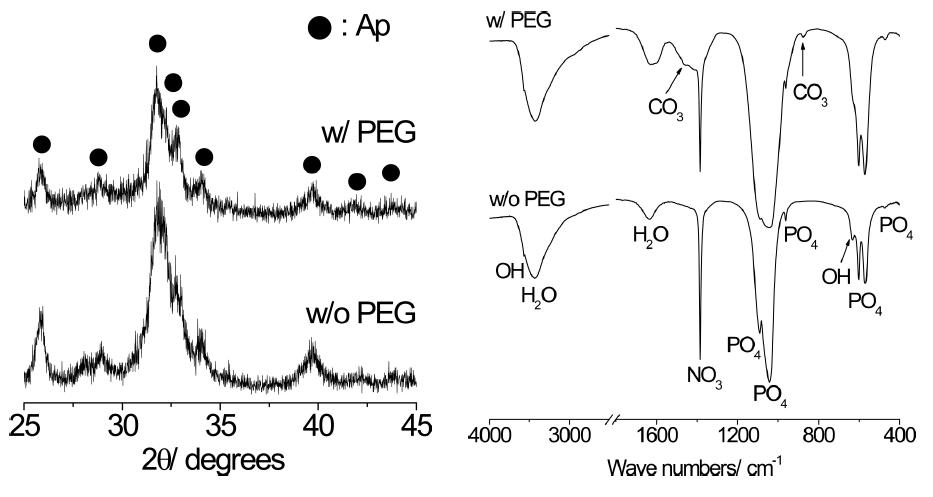 PEG를 첨가하지 않은 용액과 첨가한 용액을 1100oC에서 분무열분해 시킨 후 얻어진 아파타이트 분말의 XRD와 FT-IR 분석결과