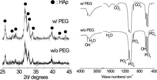 PEG를 첨가하지 않은 용액과 첨가한 용액을 1100oC에서 분무열분해 시킨 후 얻어진 수산화아파타이트 분말을 650oC에서 3시간동안 탈지 처리 후의 XRD와 FT-IR측정 결과.