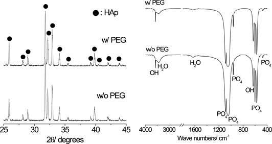 PEG를 첨가하지 않은 용액과 첨가한 용액을 1100oC에서 분무열분해 시킨 후 얻어진 수산화아파타이트 분말을 650oC에서 3시간동안 탈지 처리 후 다시 100oC에서 3시간 동안 소결 후의 XRD와 FT-IR측정 결과