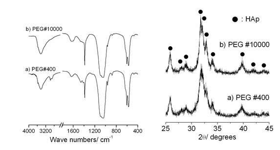 400g/mol 분자량의 PEG를 첨가한 용액과 10000g/mol 분자량의 PEG를 첨가한 용액을 1100oC에서 분무열분해 시킨 후 얻어진 아파타이트 분말의 XRD와 FT-IR 분석결과