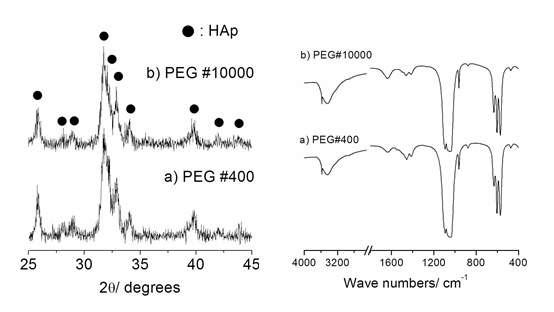 400g/mol 분자량의 PEG를 첨가한 용액과 10000g/mol 분자량의 PEG를 첨가한 용액을 1100oC에서 분무열분해 시킨 후 얻어진 아파타이트 분말을 650oC에서 3시간동안 탈지처리 후의 XRD와 FT-IR 분석 결과