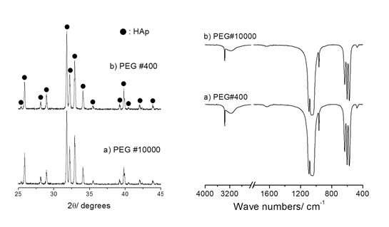 400g/mol 분자량의 PEG를 첨가한 용액과 10000g/mol 분자량의 PEG를 첨가한 용액을 1100oC에서 분무열분해 시킨 후 얻어진 아파타이트 분말을 650oC에서 3시간동안 탈지처리 후 다시 1100oC에서 3시간 동안 소결 후의 XRD와 FT-IR측정 결과