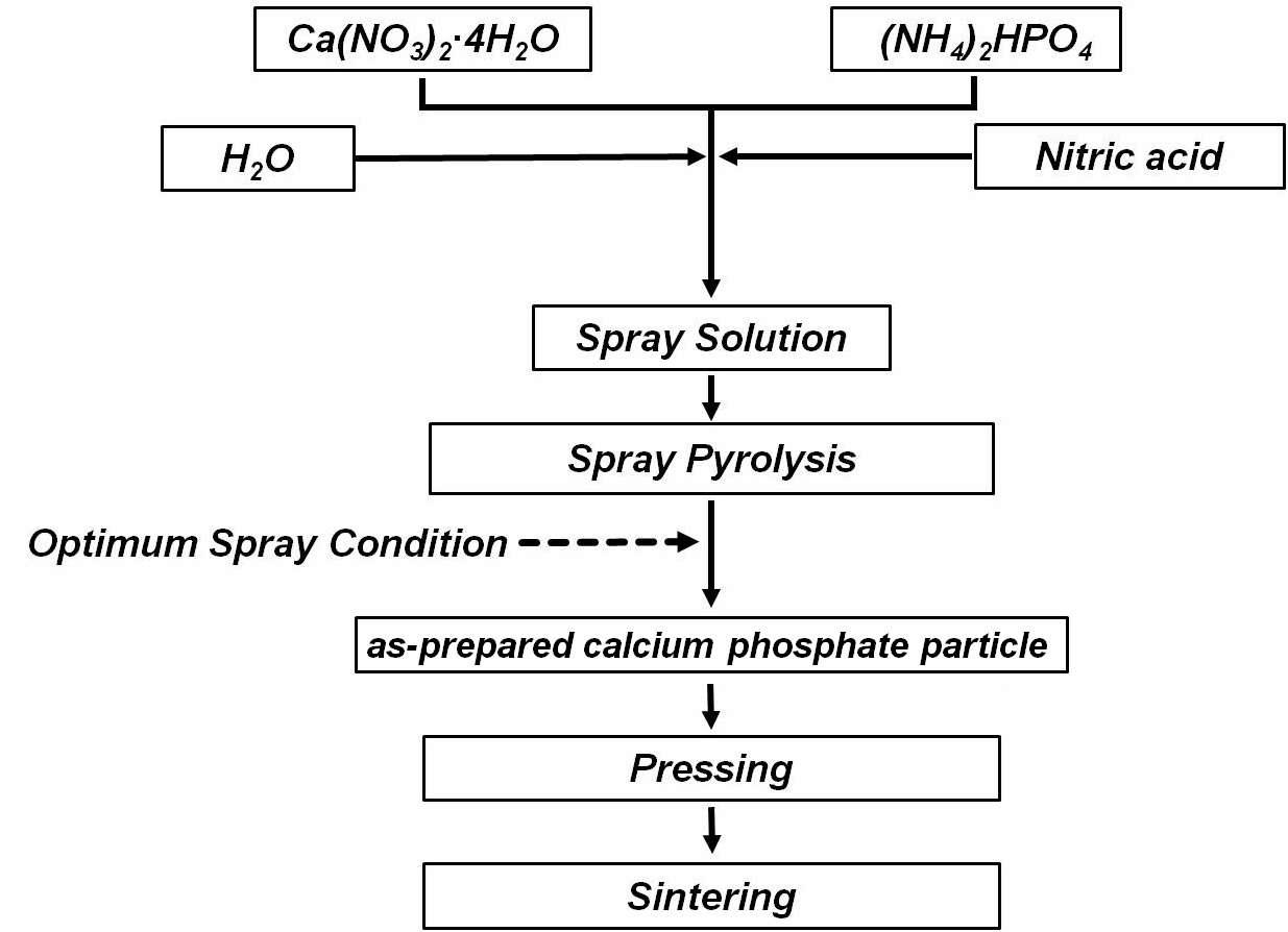 분무열분해법을 통한 수산화아파타이트 분말 제조법에 관한 모식도.