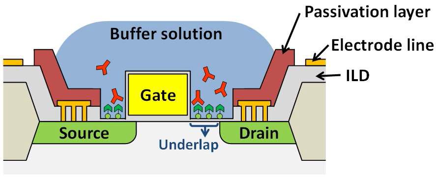 전극선과 passivation 층이 추가된 underlap-FET
