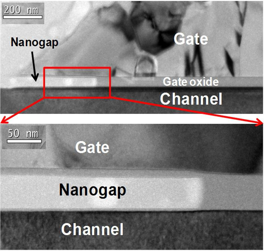 제작된 나노갭 ring-gate FET의 전자현미경 사진