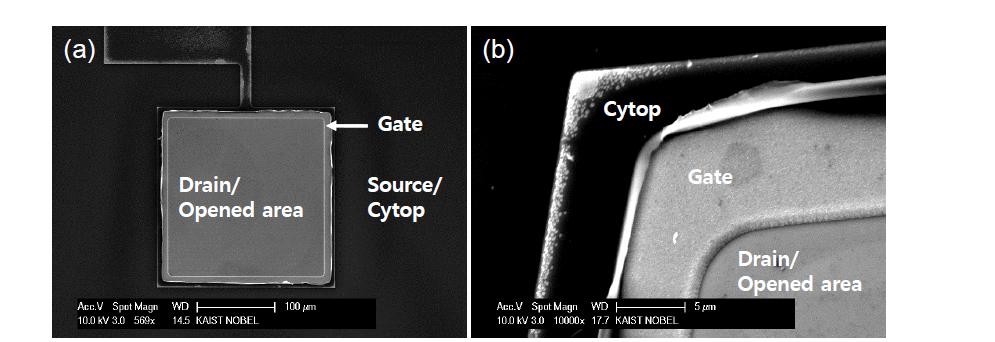 (a) Passivation이 추가된 ring-gate 형태를 갖는 FET의 SEM 사진 (b) CYTOPTM passivation 영역이 확대된 SEM 사진