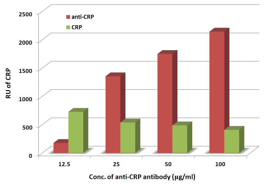 Anti-CRP의 농도에 따른 RU 값 변화 및 CRP packing density
