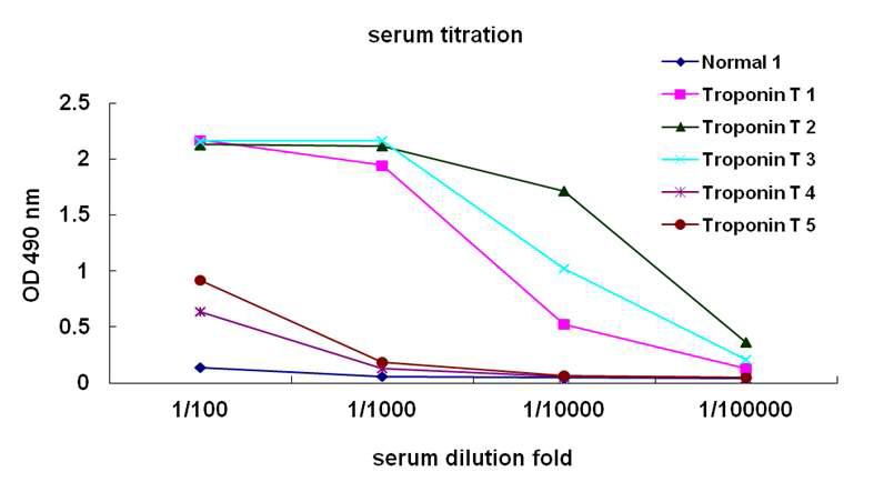 ELISA를 이용한 Troponin T 항원 주사로 면역화된 생쥐 serum titration