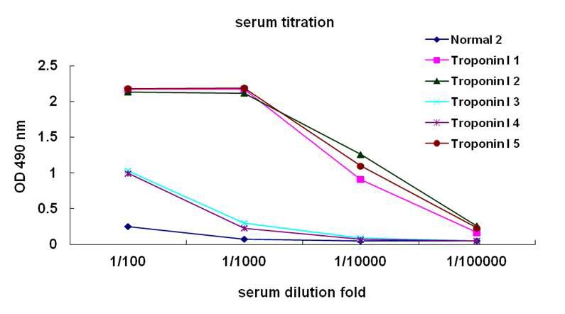 ELISA를 이용한 Troponin I 항원 주사로 면역화된 생쥐 serum titration