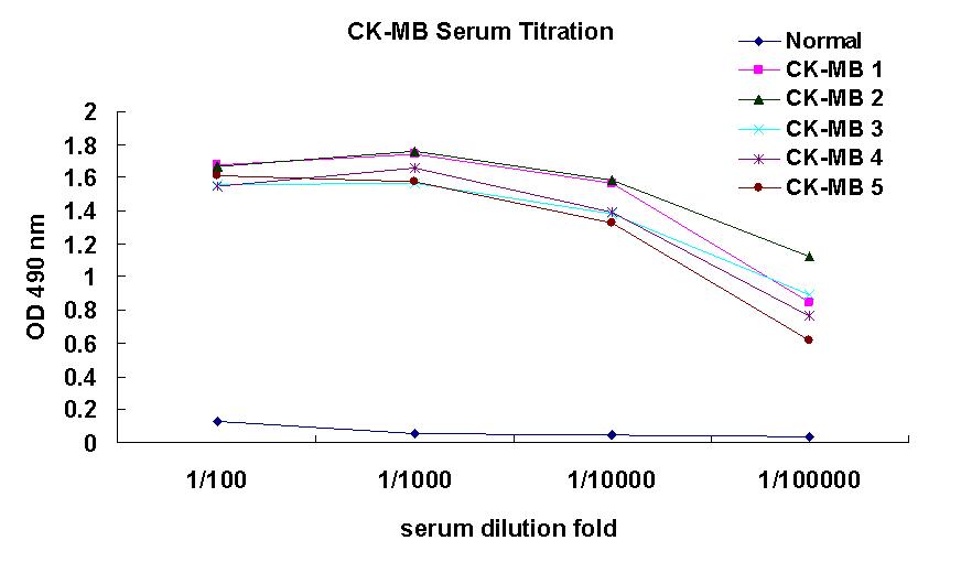 ELISA를 이용한 CK-MB 항원 주사로 면역화된 생쥐 serum titration