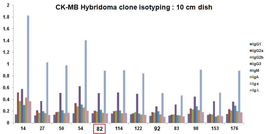 선별된 CK-MB 하이브리도마 세포주의 Ig heavy, light chain isotype 분석