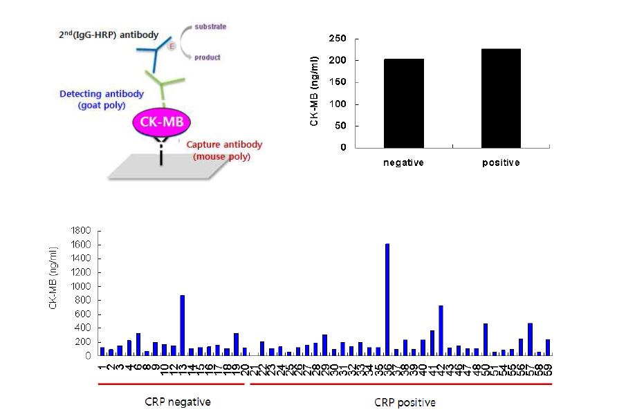 CK-MB mouse polyclonal antibody를 이용한 sandwich ELISA를 통한 임상시료 분석