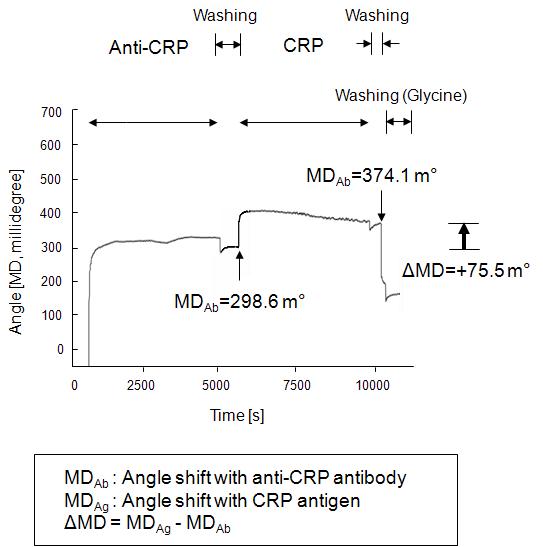 CRP 항체 항원 결합의 SPR분석