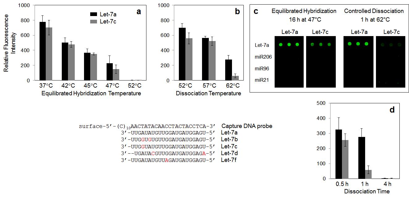 다양한 hybridization 전략에 따른 Let-7 family 마이크로 RNA 특이적 분석