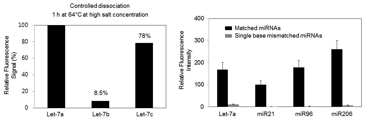 결합력 equalized LNA 프로브를 이용한 마이크로 RNA 특이적 분석