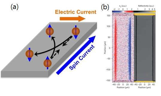 (a) 스핀 홀 효과 원리 모식도 (b) 스핀 홀 효과를 광학적인 방법을 이용한 검출