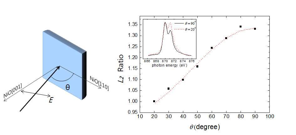 Fe(8 ML)/NiO(30 ML)/MgO(001) 계에 대해서 측정한 Ni L2 edge x-ray absorption spectra(삽입그림)와 L2 비율의 θ 의존성 . 점선으로 나타낸 L2 비율의 cos2θ 의존성은 NiO 스핀이 표면에 수직방향임을 보여준다.