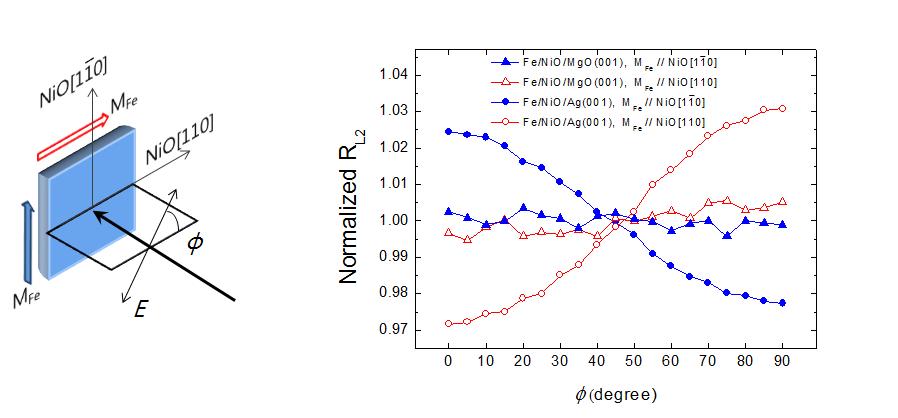 Fe(8 ML)/NiO(30 ML)/MgO(001) 계와 Fe(8 ML)/NiO(30 ML)/Ag(001) 계에 대해서 측정한 Ni L2 비율의 X-선 선형 분극 방향 의존성.