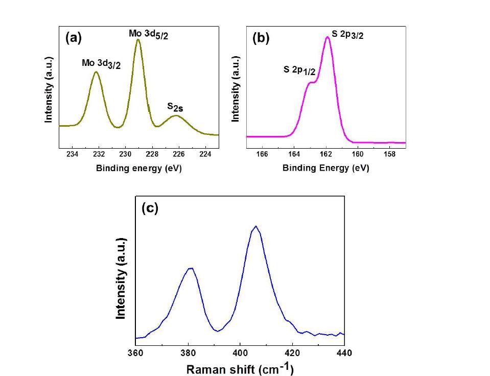 Sulfurization시켜 제작한 MoS2의 XPS, Raman 측정 결과