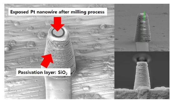 절연막을 제거하고 백금부분을 선택적으로 노출시킨 나노와이어 전극의 모습