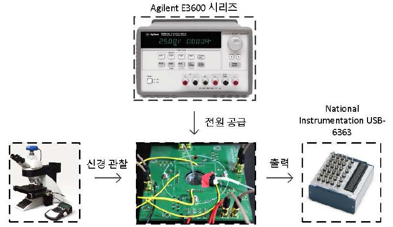 In-Vitro 실험을 위한 장비의 구성