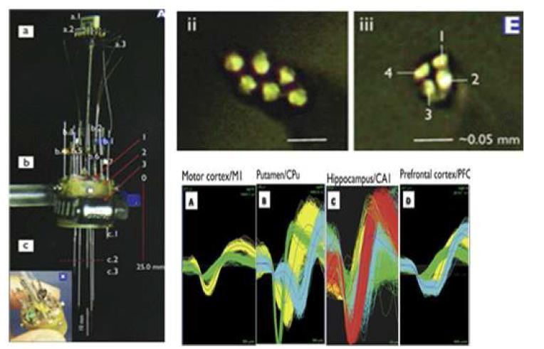 Multi-tetrode NHP microdrive 시스템 구조와 원숭이뇌 여러 부위에서 동시에 측정된 신경신호